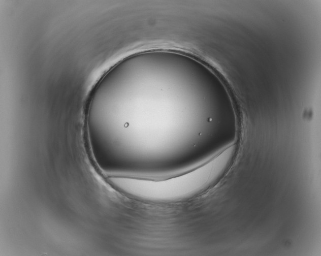 X0000111791508200907301133