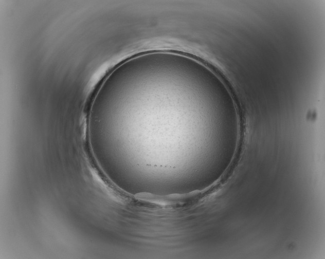 X0000111791509200907301133