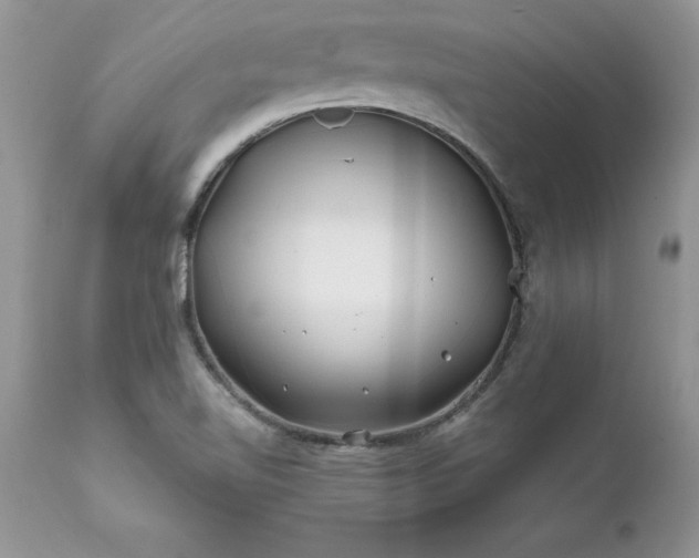 X0000111791510200907301133