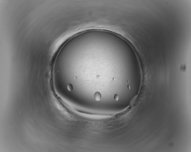 X0000111791511200907301133