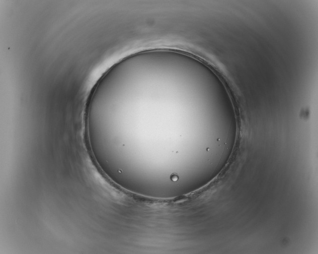 X0000111791512200907301133