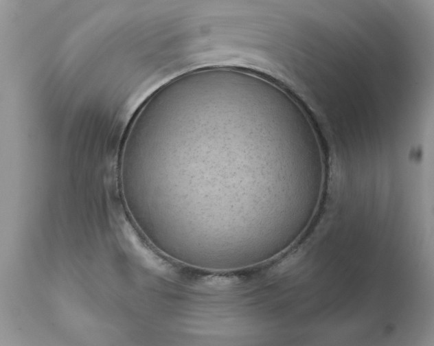 X0000111791513200907301133