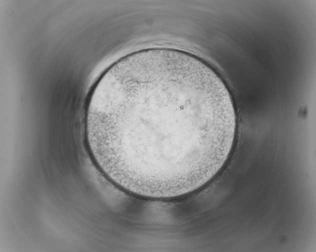 X0000111791514200907301133