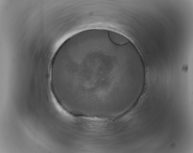 X0000111791515200907301133