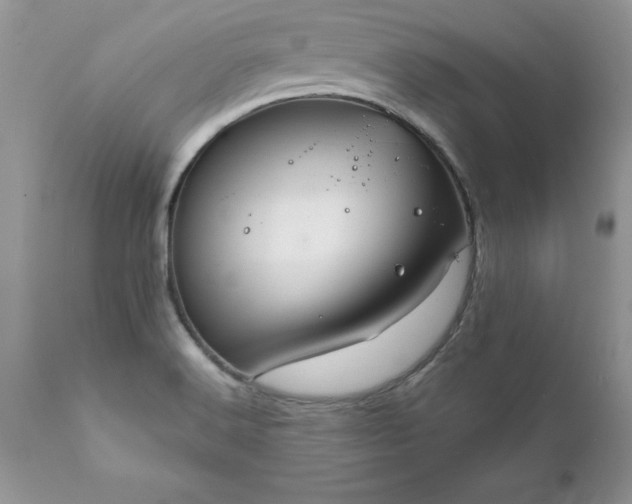 X0000111791516200907301133