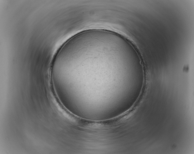 X0000111791517200907301133