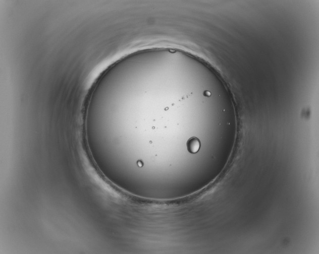 X0000111791518200907301133