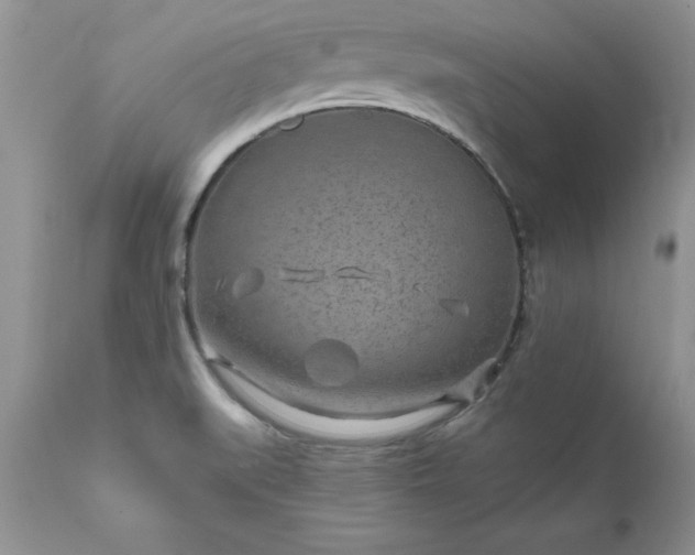 X0000111791519200907301133