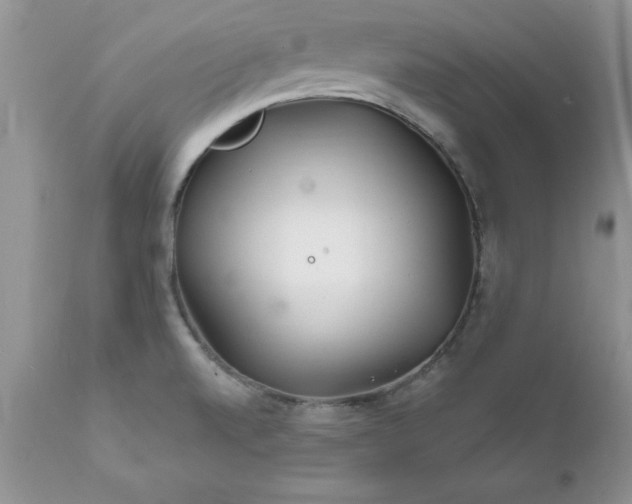 X0000111791520200907301133