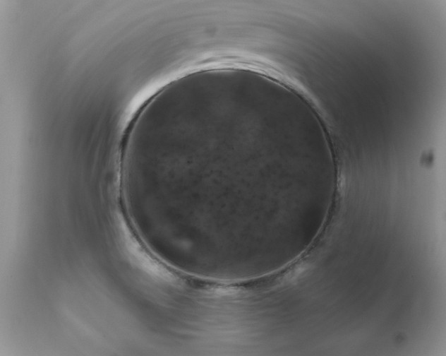 X0000111791522200907301133