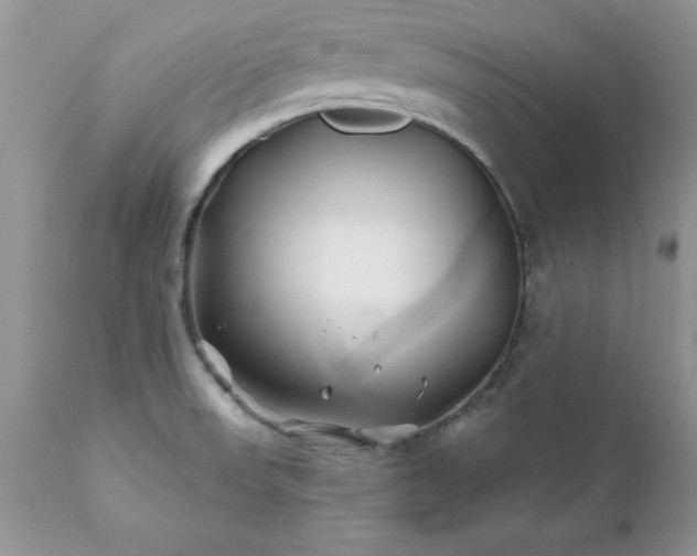 X0000111791523200907301133