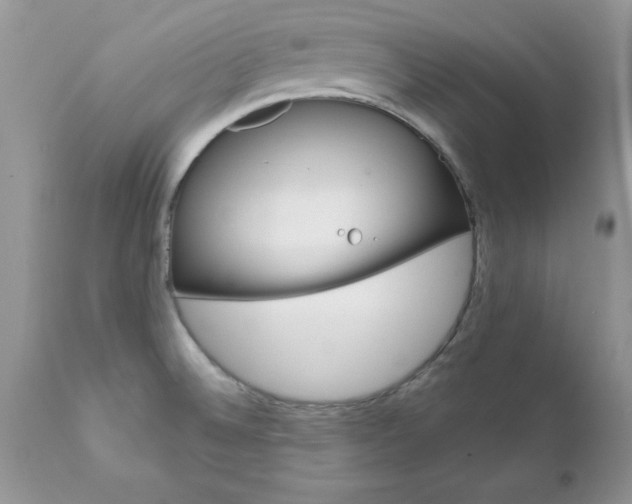 X0000111791524200907301133