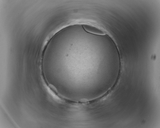 X0000111791525200907301133