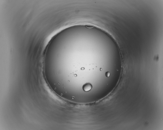 X0000111791526200907301133