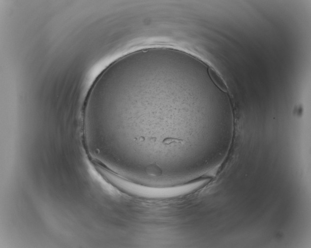 X0000111791527200907301133