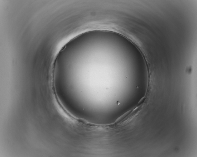 X0000111791528200907301133