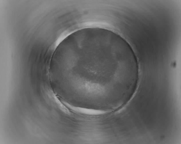 X0000111791529200907301133