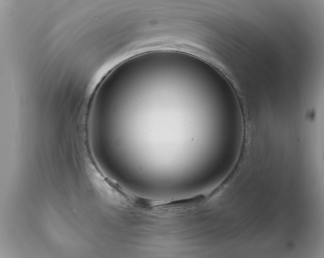 X0000111791530200907301133