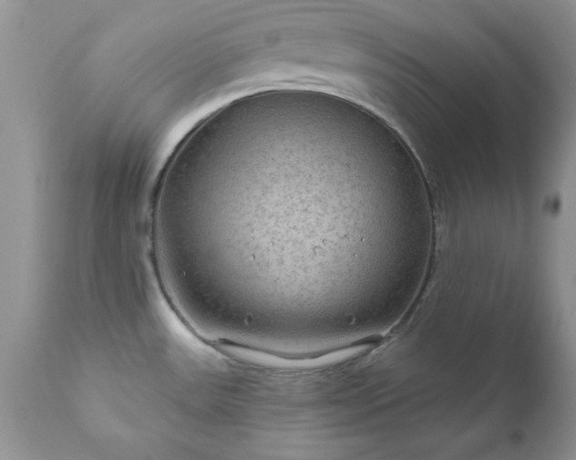 X0000111791531200907301133