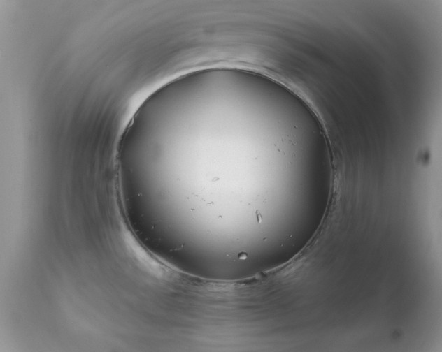 X0000111791532200907301133