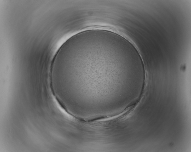 X0000111791533200907301133