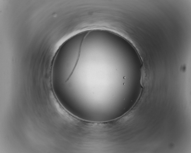 X0000111791534200907301133