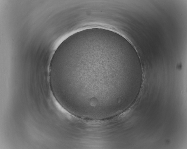 X0000111791535200907301133