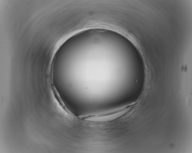 X0000111791536200907301133