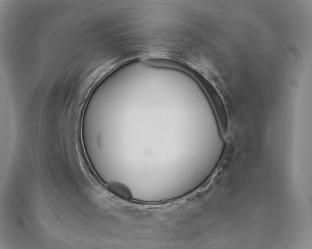 X0000111790001200908061146