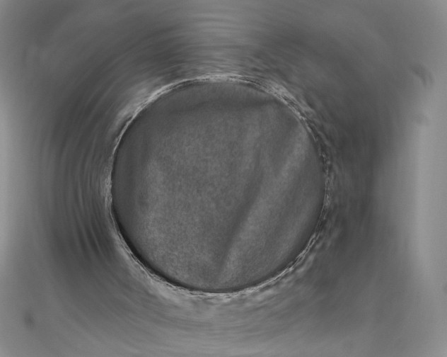 X0000111790002200908061146