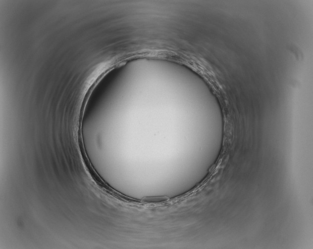 X0000111790003200908061146