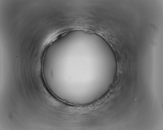 X0000111790005200908061146