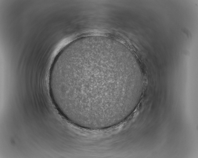 X0000111790006200908061146