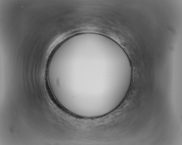 X0000111790007200908061146