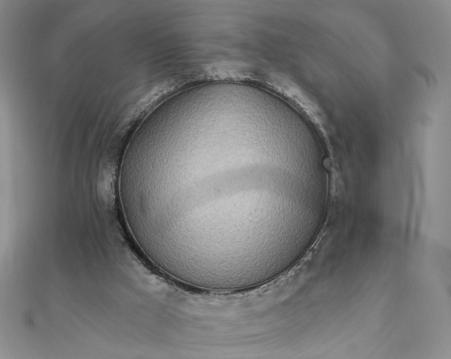 X0000111790009200908061146