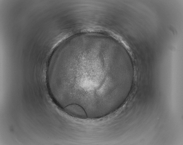 X0000111790010200908061146