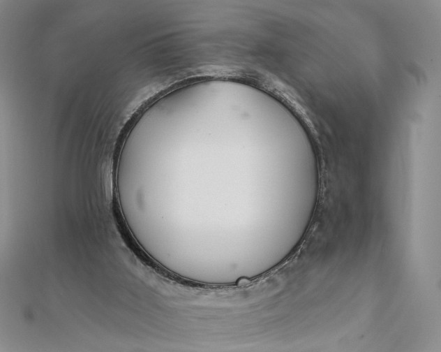 X0000111790011200908061146