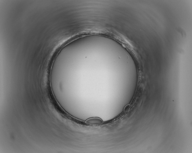 X0000111790012200908061146