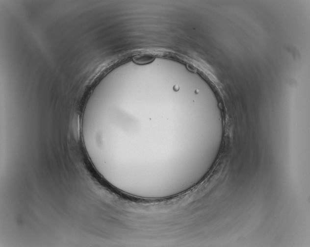 X0000111790013200908061146