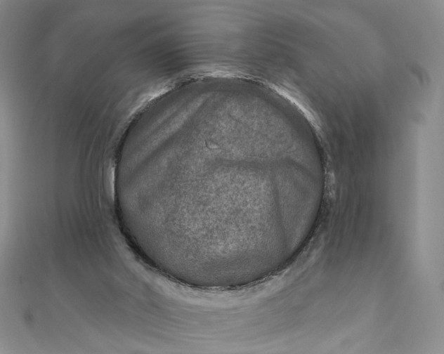 X0000111790014200908061146