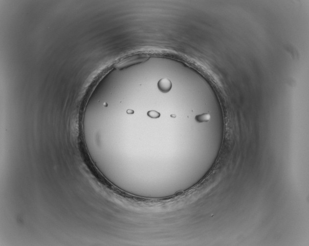 X0000111790015200908061146