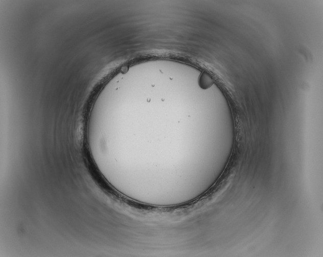 X0000111790016200908061146