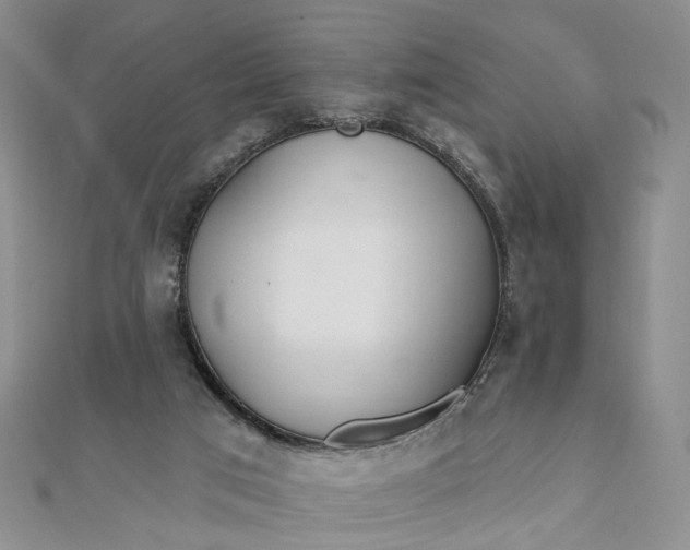 X0000111790017200908061146