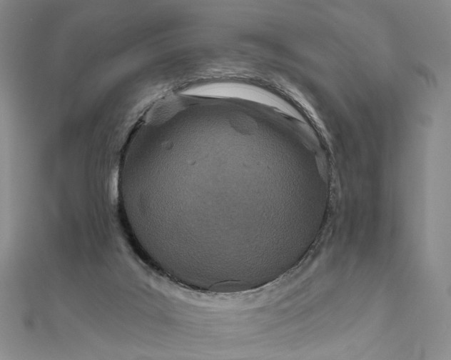 X0000111790019200908061146