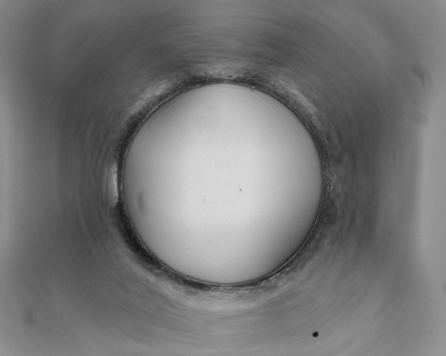 X0000111790020200908061146