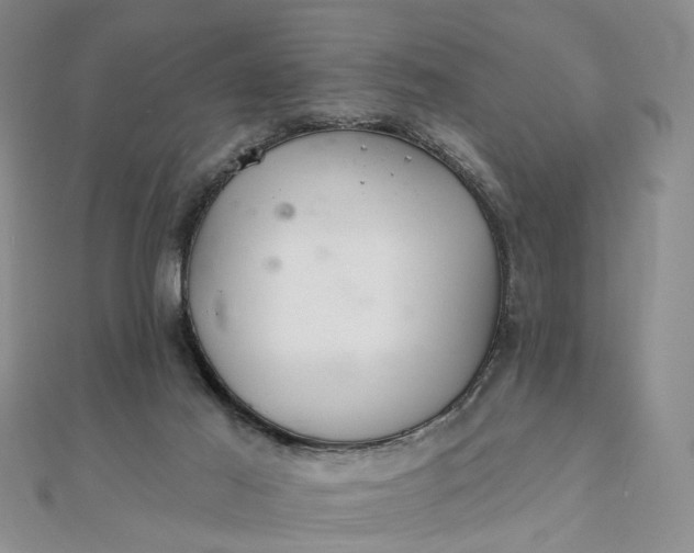 X0000111790021200908061146