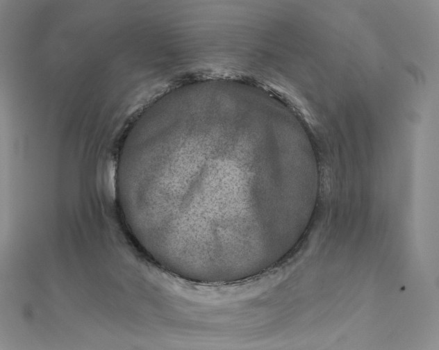 X0000111790022200908061146