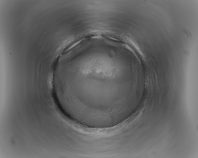 X0000111790023200908061146