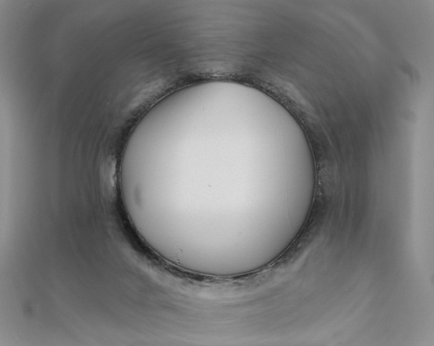 X0000111790024200908061146