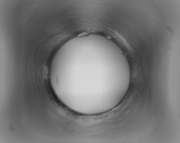 X0000111790025200908061146